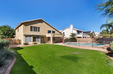 Grassy Backyard