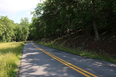 859 Brush Creek Rd, Winchester, VA 22603 - photo 7