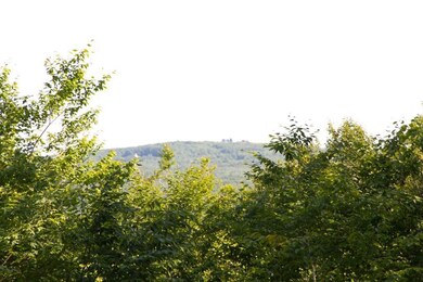 33 Gosses Hill Rd, Camden, ME 04843 - photo 7