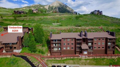 60 Hunter Hill Rd unit A204, Crested Butte, CO 81225 - photo 3