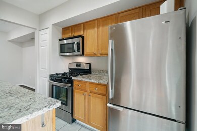2304 Greenery Ln unit 10115, Silver Spring, MD 20906 - photo 7