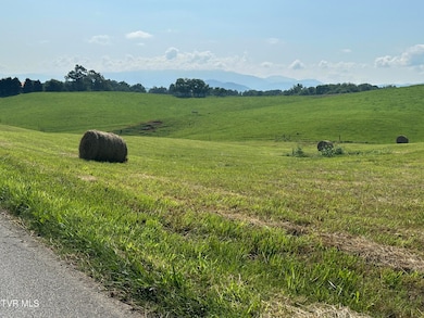 00 W Allens Bridge Rd, Greeneville, TN 37743 - photo 7