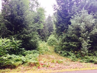 Lot 8 Gordon Hill Rd, New Hampton, NH 03256 - photo 2