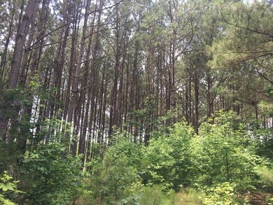 14523 Beckenridge Dr, Upatoi, GA 31829 - photo 4