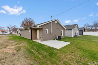 416 Cook Ave, Chaffee, MO 63740 - photo 6