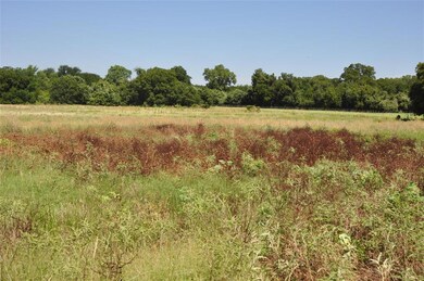 TBD Hereford Ln, Millsap, TX 76066 - photo 7