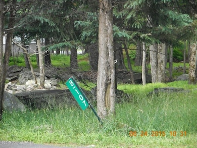 1332 Pine Ridge, Pine Ridge, PA 18324 - photo 4