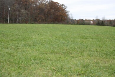 IMG_0038 - Copy