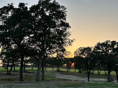 717 County Road 2320, Mineola, TX 75773 - photo 6