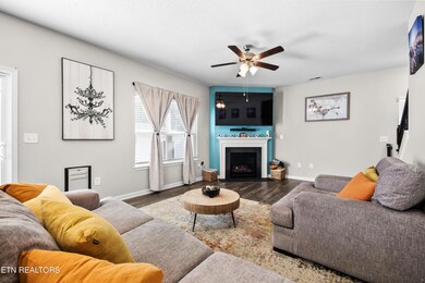 312 Hayley Marie Ln, Knoxville, TN 37920 - photo 4