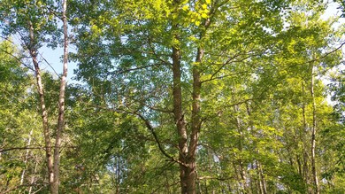 0 72nd St unit A 21020958, Idlewild, MI 49642 - photo 3