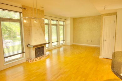 Living Room-1