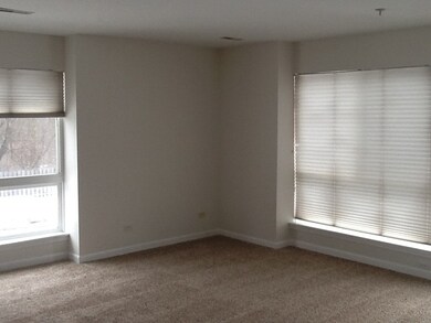 Floor to Ceiling Windows