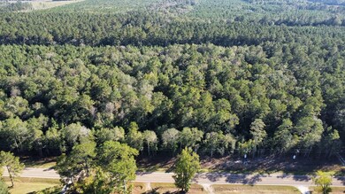 TBD Farm To Market 1004, Call, TX 75933 - photo 3