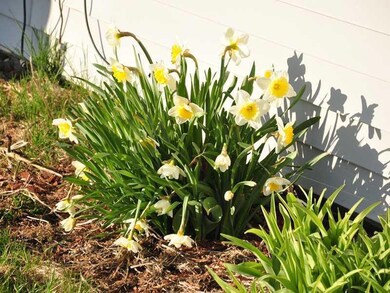 Yard/Garden.