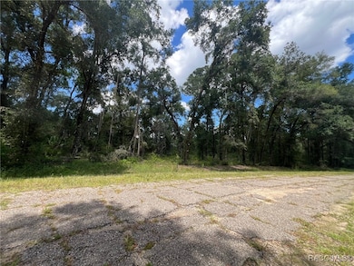 1628 E Derby Dr, Dunnellon, FL 34434 - photo 4