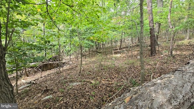Lot 20 Long View Dr, Luray, VA 22835 - photo 2