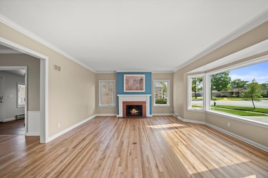Gas Fireplace