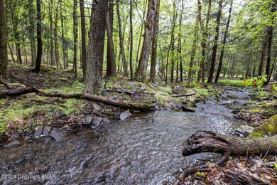 0 Owassa Dr unit PM-115133, Pocono Lake, PA 18347 - photo 2