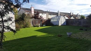 Backyard (1)