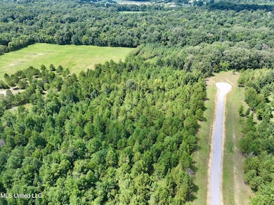 Stout Farm Drive Lot: 64, Madison, MS 39110 - photo 3