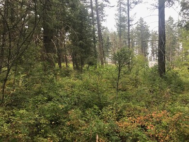 450 Cougar Trail, Whitefish, MT 59937 - photo 4