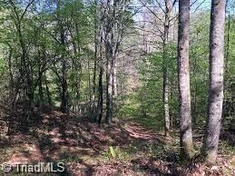 000 Shannon Ct, Deep Gap, NC 28618 - photo 3