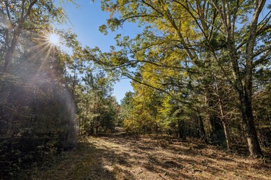 7489 Shoals Branch Rd, Primm Springs, TN 38476 - photo 6