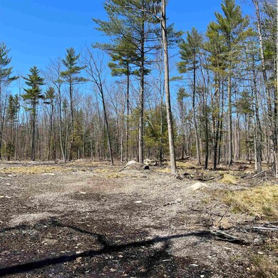 00 Foxtrot Lot 20 Dr unit 20, Farmington, NH 03835 - photo 6