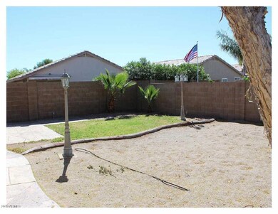 Backyard 4