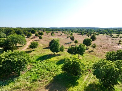 73.9+/- Acres Sessums Rd, Springtown, TX 76082 - photo 5