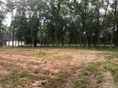 Bluebird lot 3