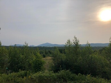 thumbnail_IMG_2485 (1)