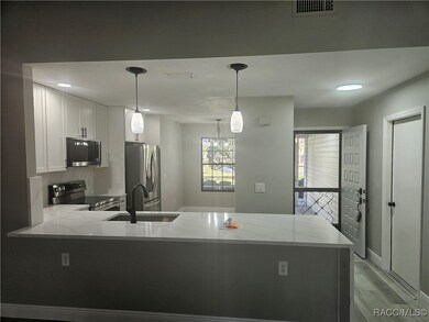 2320 N Hendry Point, Hernando, FL 34442 - photo 6