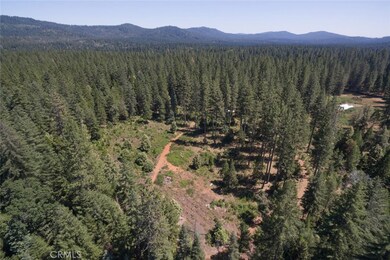 0 Forbestown Rd unit OR25260369, Forbestown, CA 95941 - photo 6