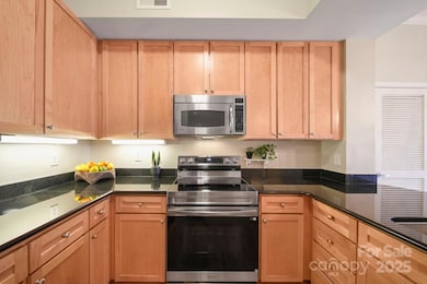 721 Governor Morrison St unit 626, Charlotte, NC 28211 - photo 5