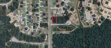 1 Mudfish Place, Poinciana, FL 34759 - photo 3