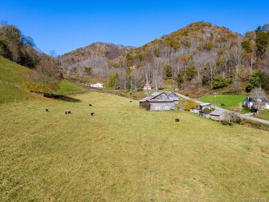 999 Lickskillet Rd, Cane River, NC 28714 - photo 7