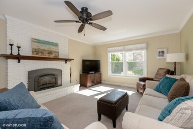 713 E Bauer Rd, Naperville, IL 60563 - photo 5