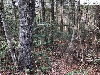 63 Deer Run, Purlear, NC 28665 - photo 7