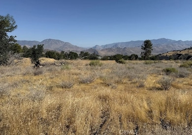 6601 Big Springs Rd, Squirrel Mountain Valley, CA 93240 - photo 7