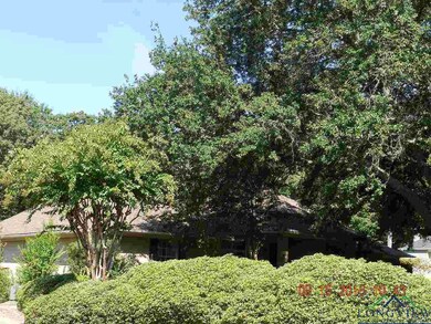 3501 Pat Ln, Tyler, TX 75701 - photo 3