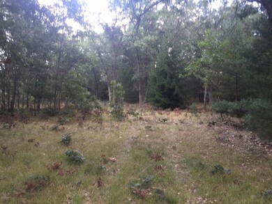 Picture4