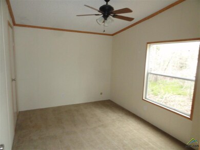 10304 County Road 21, Tyler, TX 75707 - photo 7