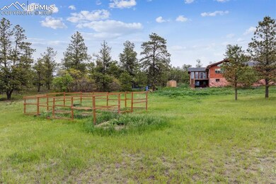 View of grassy yard