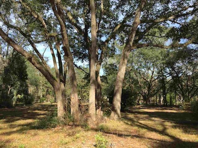 0 Woodland Dr, Crawfordville, FL 32327 - photo 5