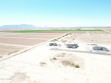 DJI_0878