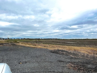 000 Hwy 79 Hwy, Stuttgart, AR 72160 - photo 4