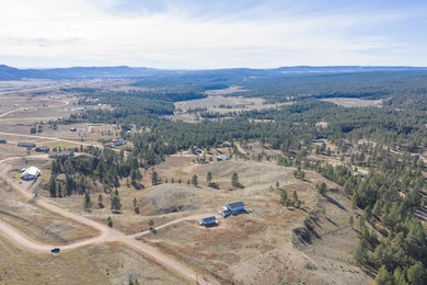 12961 Darcy Dr, Hot Springs, SD 57747 - photo 3