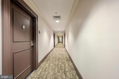 The Eclipse unit 460, Arlington, VA 22202 - photo 7